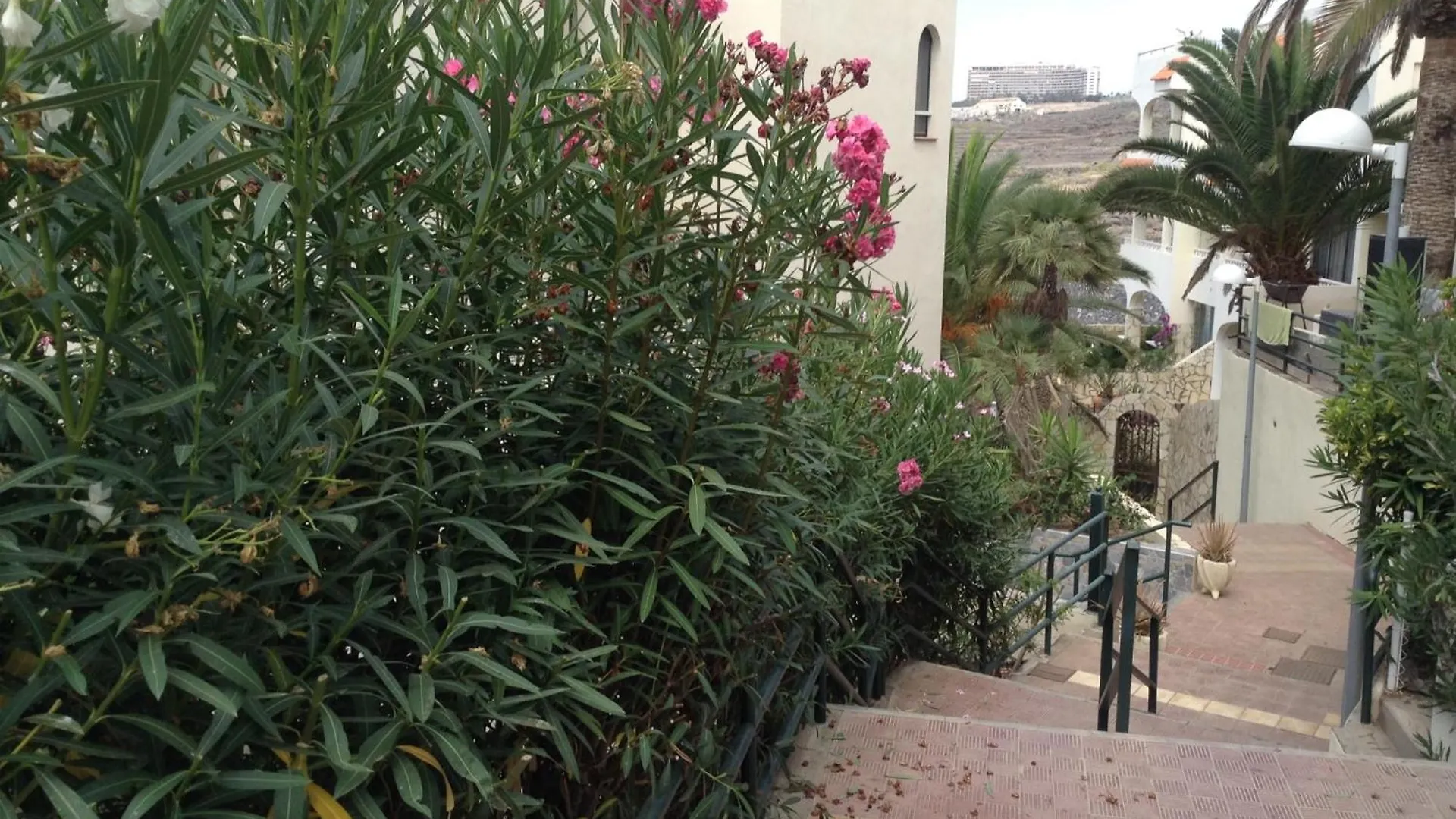 דירות אדחה Jardin Marino