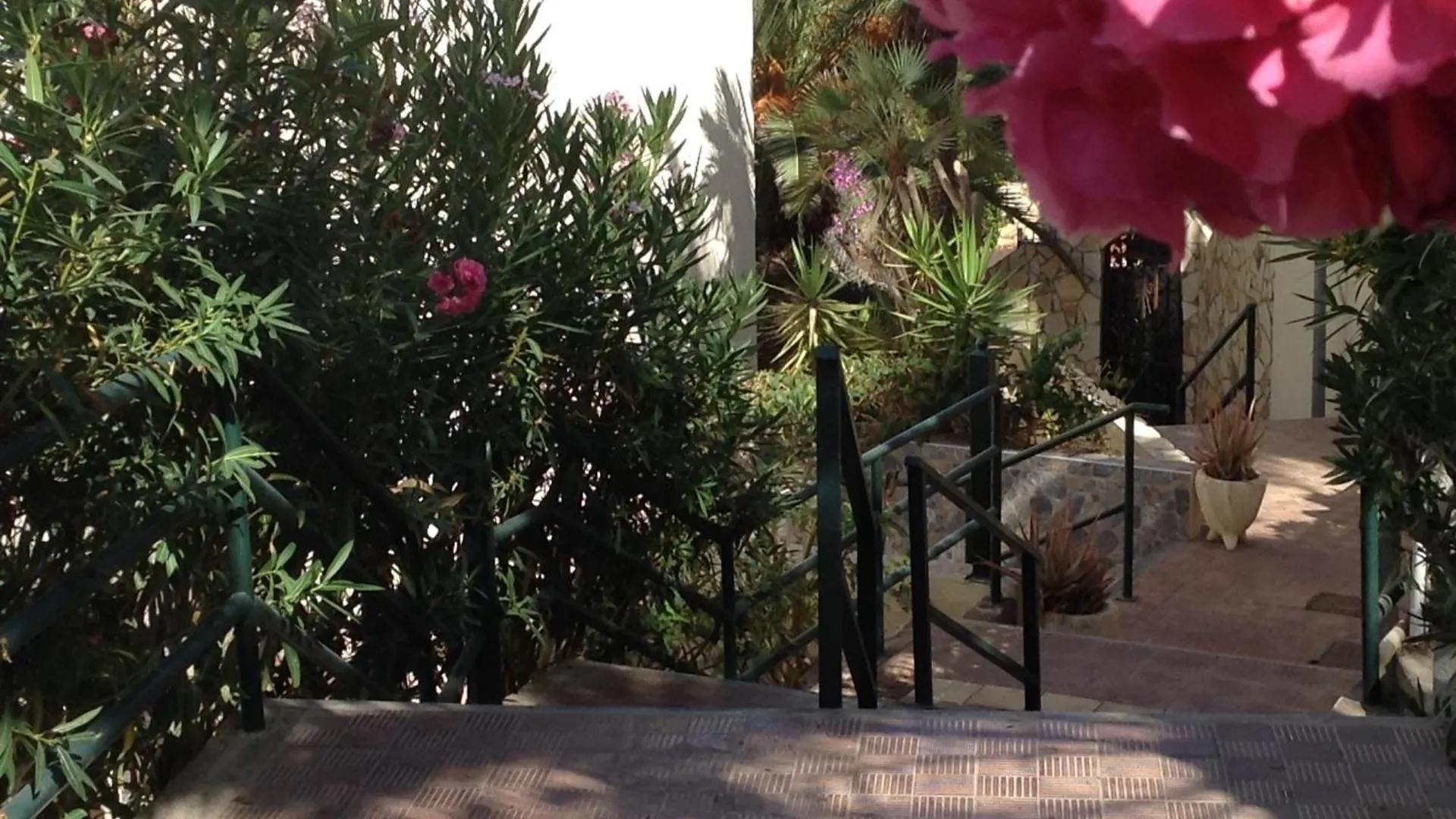 Jardin Marino Lejlighed Costa Adeje
